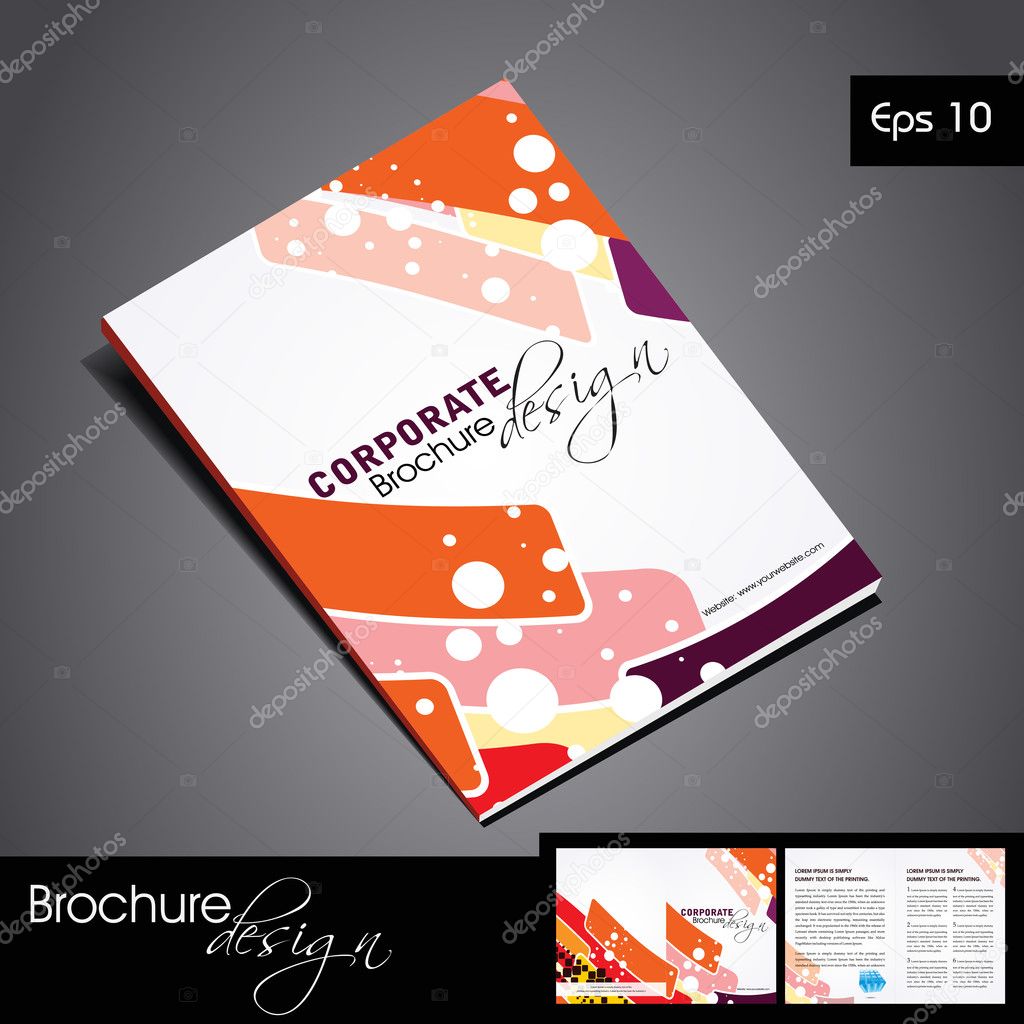 Professional Business Vector & Corporate Brochure Design