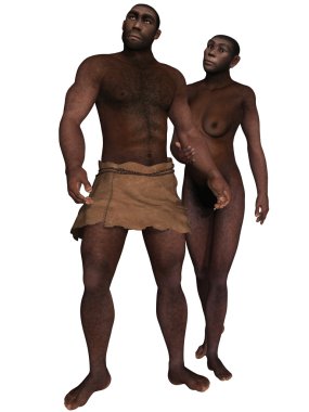 Homo Erectus