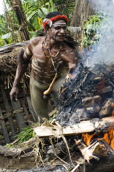 Stock image Warrior of a Papuan tribe