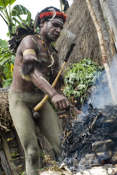 stock image Warrior of a Papuan tribe