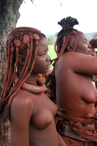 stock image Himba Women