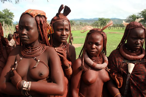 stock image Himba Women