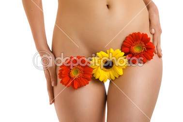 Body and gerberas-2