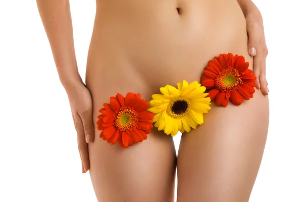 stock image Body and gerberas-2