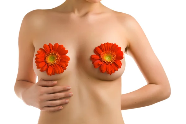 stock image Body and gerberas-7