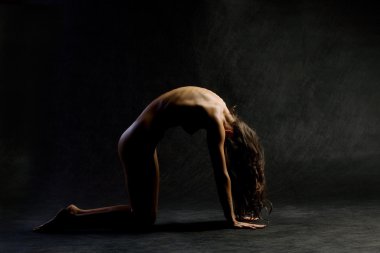 Çıplak Yoga