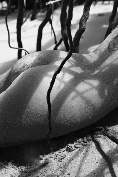 かなり裸の女性. — ストック写真