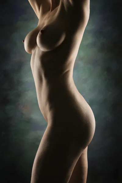 stock image Nude female body.