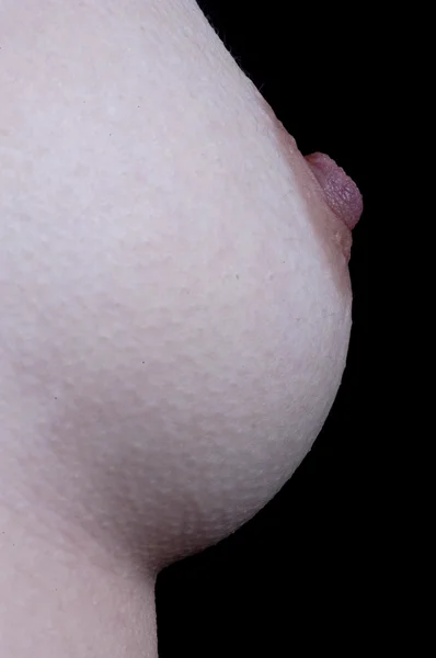 stock image Female breast